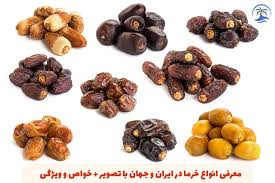 تصویر 3 از خرما خاصویی عویدی خوزستان شیرین و خوش خوراک